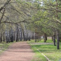 в парке :: Венера Чуйкова