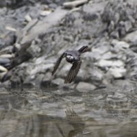 *** :: Александр. AVG100 ---