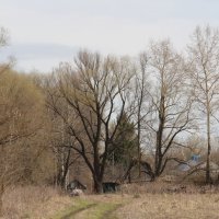 Под небом голубым... :: Елена Минина