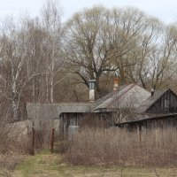 Под небом голубым... :: Елена Минина