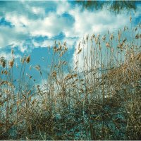 Суздаль. Апрель :: Вячеслав Владимирович