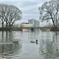 Апрельский воздух :: Татьяна 