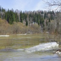 Отправились льдины в реку Томь :: Нина северянка