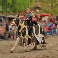 Всадница :: Андрей K.