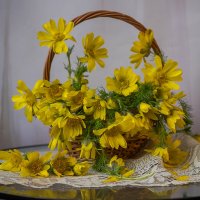 Адонис :: Елена Ахромеева