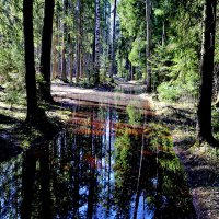 Апрель :: краснов юрий 