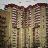 В Лыткарино :: Алексей Архипов