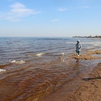 Ладожское Озеро :: Наталья Герасимова