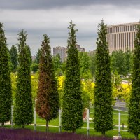 Парк Галицкого в городе Краснодар :: Игорь Сикорский