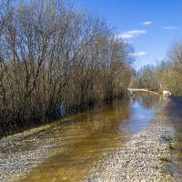 Водное препятствие :: Сергей Цветков