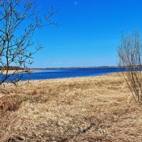 Май...Начало  весеннего разлива на Сыром Агане! :: Владимир 