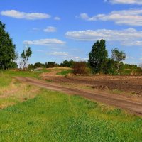 Родные места. :: nadyasilyuk Вознюк