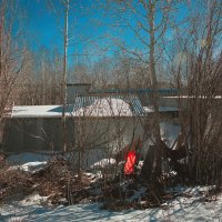 Фотография :: Денис Безногов