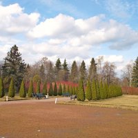 Апрель :: VasiLina *