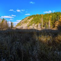 Утро солнечного октября 2. :: Юрий кот