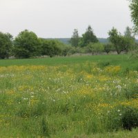 МАЙСКИЕ ПРОСТОРЫ В ДЕРЕВНЕ :: Валентина 