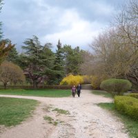 Весна в парке  Т Н У :: Валентин Семчишин