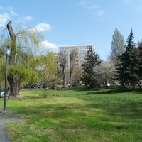 Весенни тёплый  день :: Валентин Семчишин