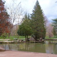 Весенний  пейзаж :: Валентин Семчишин