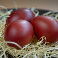 Tallinn, Fotograaf Arkadi Baranov, FEP, Estonia :: Аркадий  Баранов Arkadi Baranov