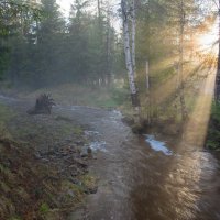 Вечерние лучи :: Vladimbormotov 