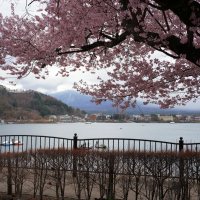 С видом на Фудзи. :: Liliya 