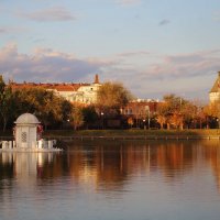 Лебединое озеро :: Татьяна Салиева