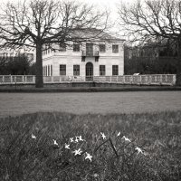 *** :: Сергей Григорьев