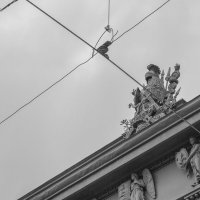 Без построения кадра :: Алексей Булак