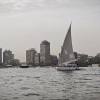 Река Нил :: Александр 