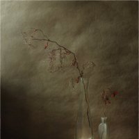 *-* :: Oleg Rastorguev