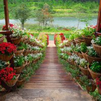 *** :: Николай Чекалин