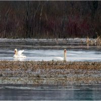 Вспоминая дни на Сандаловке :: Валентин Котляров