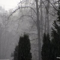 туман-дождик :: Олег Лукьянов
