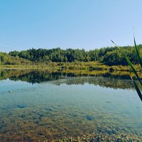 Озеро :: Александр 