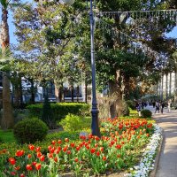 ул.Навагинская :: Tata Wolf