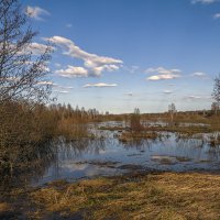 В пойме Клязьмы :: Сергей Цветков