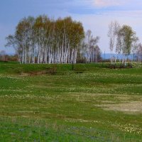 Такой бывает весна. :: nadyasilyuk Вознюк