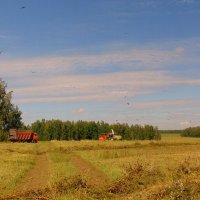 Время сенокоса. :: nadyasilyuk Вознюк