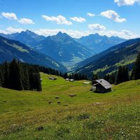 весна в горах. :: Mila 