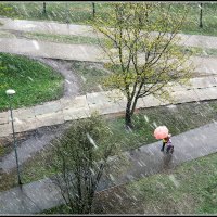 *** :: Aleksandr Gal