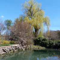 Весенний  пейзаж :: Валентин Семчишин