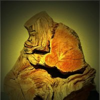 СТАРЫЙ ПЕНЬ... :: Elvira E. 