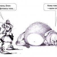 13 :: Владимир Попов