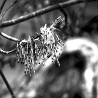 *** :: Николай 