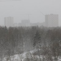 За снежной пеленой :: Евгений Корьевщиков