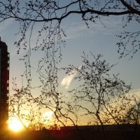 весеннее небов :: Anna-Sabina Anna-Sabina