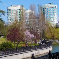 Дома  близнецы :: Валентин Семчишин