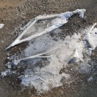 И ещё раз снова выпал снег... :: Галина Минчук