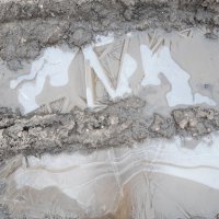 И ещё раз снова выпал снег... :: Галина Минчук